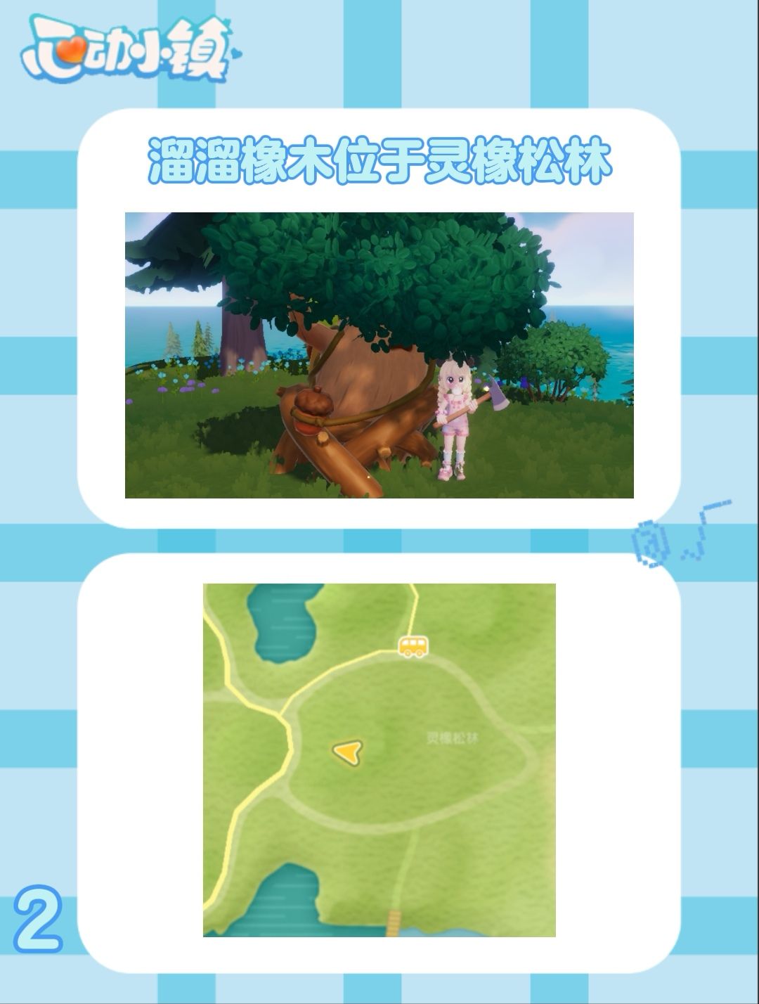 8月27日 萤石-橡木﹣彩虹时间 3