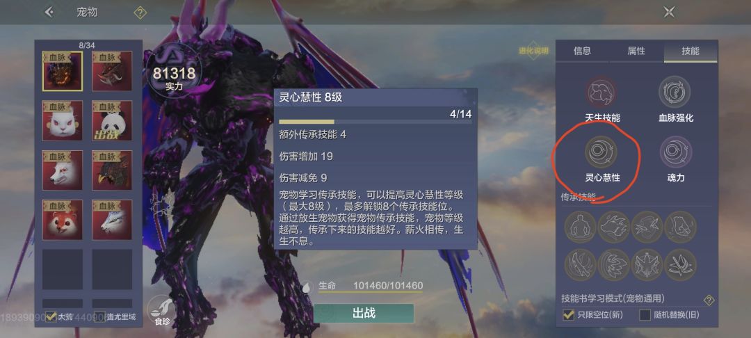 宠物技能书开孔 2