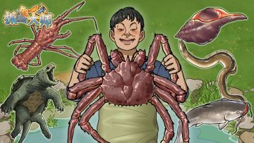 【有奖活动】福利活动！888888钞票+100钻石免费抽！