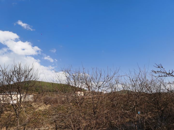 想和艾冻冻一起去爬山截图