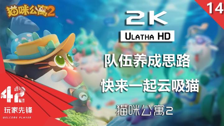 【队伍养成思路】传说中的猫岛,让小猫治愈你焦躁的心,快来一起云吸猫!猫咪公寓2截图
