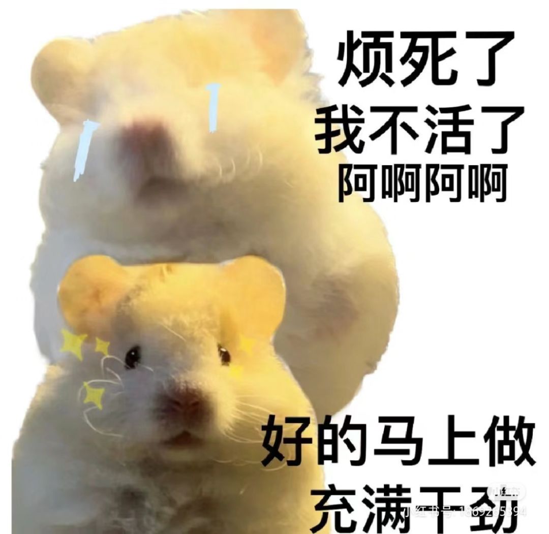 有和我一样的嘛 1