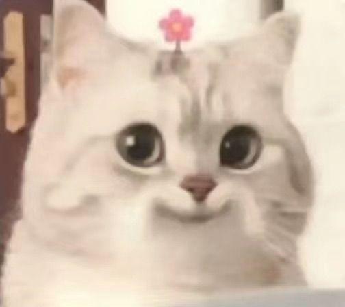期待截图