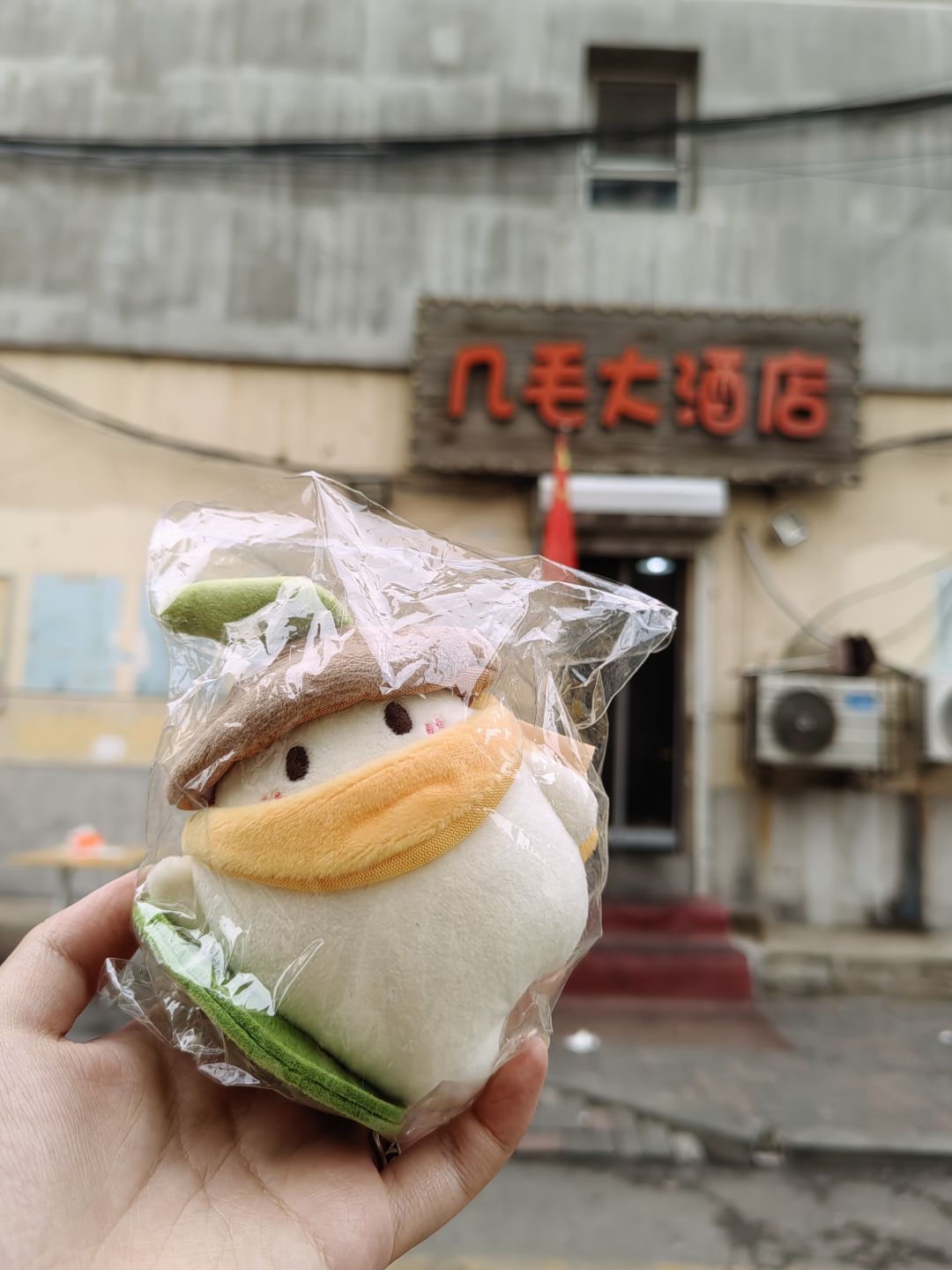 萝千里:好大一盘锅包肉 1
