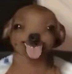 那一天的鱿鱼😭鱿鱼起来!