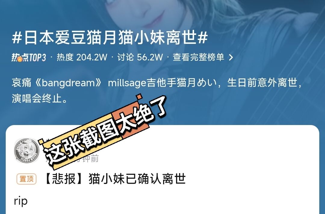 邦多利悲报！支援吉他手飞升 3