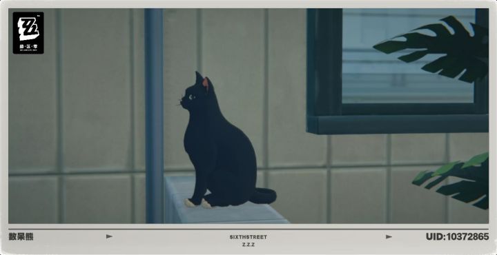 #绝区零公测打卡
可爱猫猫ruarua截图