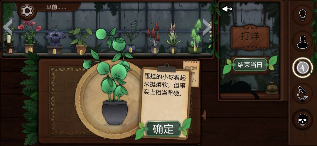记录一些个人比较喜欢或觉得有意思的植物 8