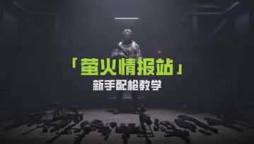 学了这篇配枪攻略，惹我你算是踢到钢板上了