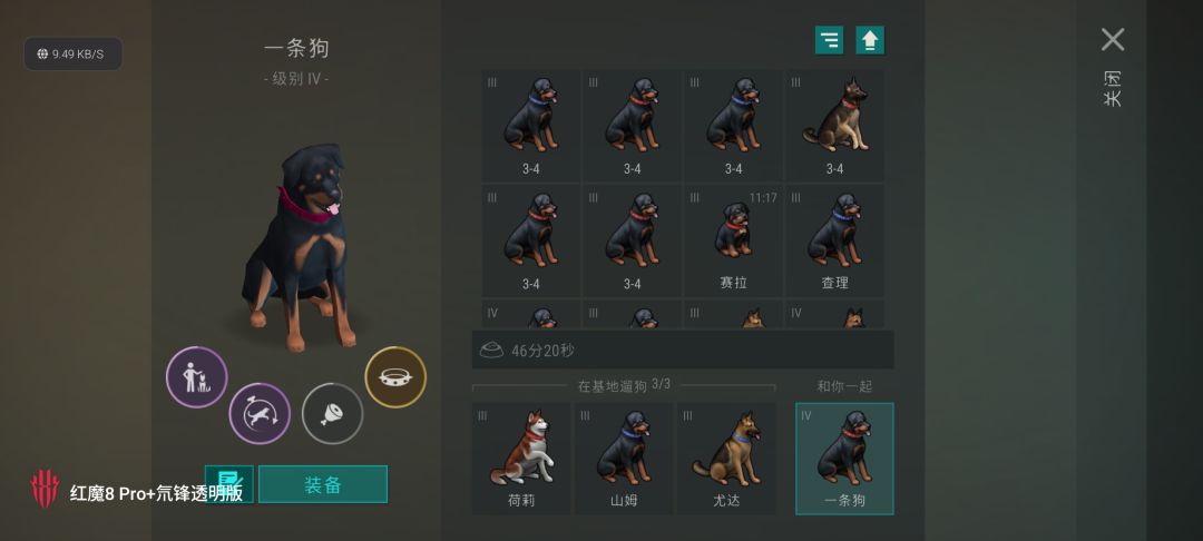 总算搞出一条狗 1