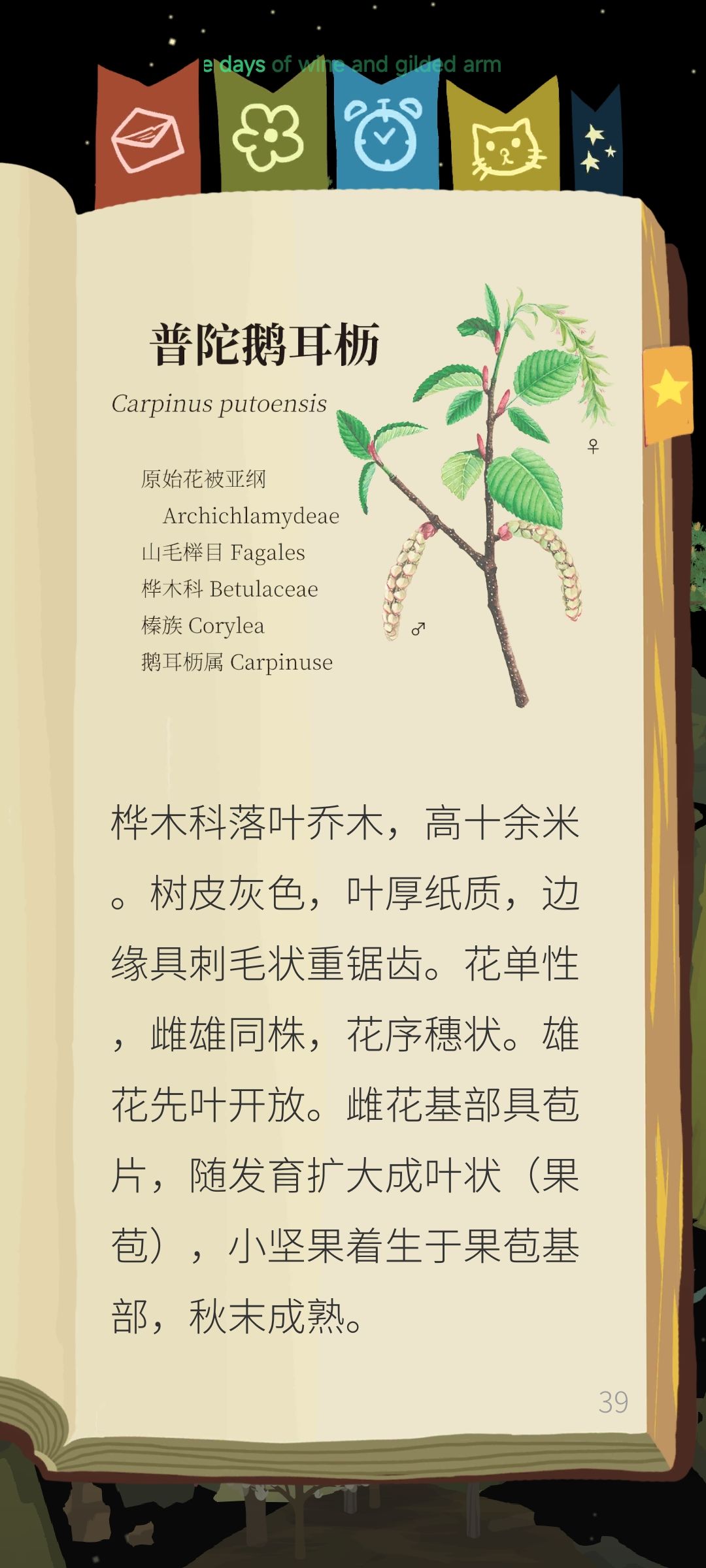 犄角旮旯之植物介绍 2