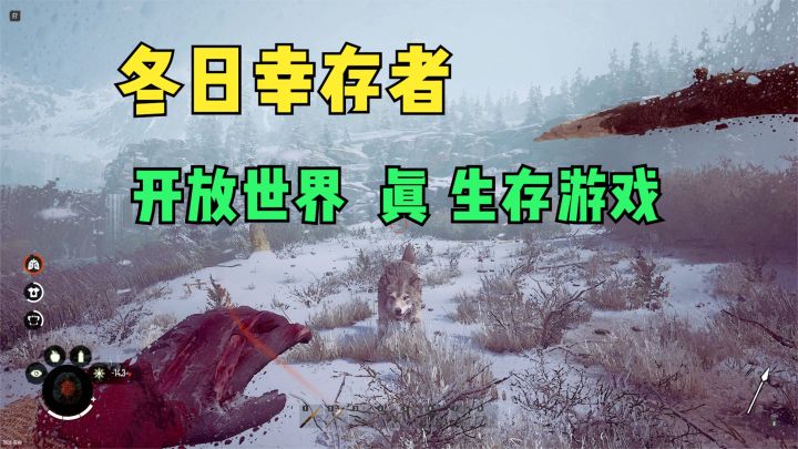 steam开放世界游戏免费试玩,冬季丛林真实生存体验!冬日幸存者截图