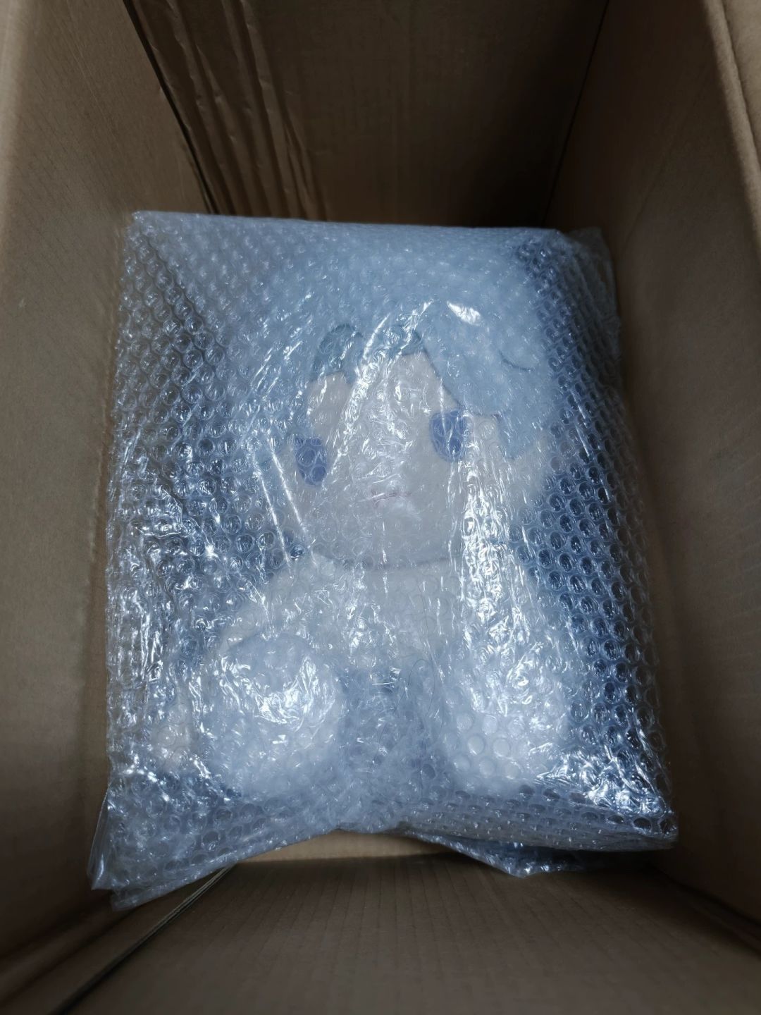 等待两只小可爱回家 4