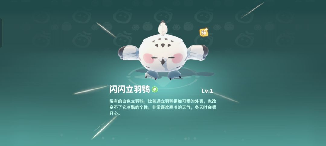 666敷的第一个就闪闪了 1
