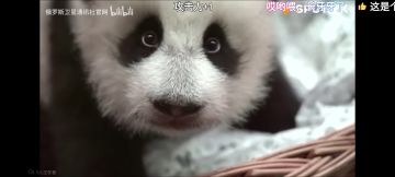 圈外人想入坑求指导