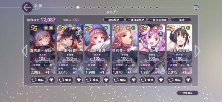 新手啊!大佬们给个配队啊!截图