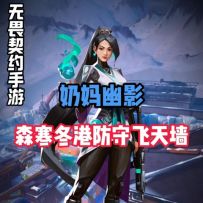 奶妈幽影森寒冬港防守飞天墙