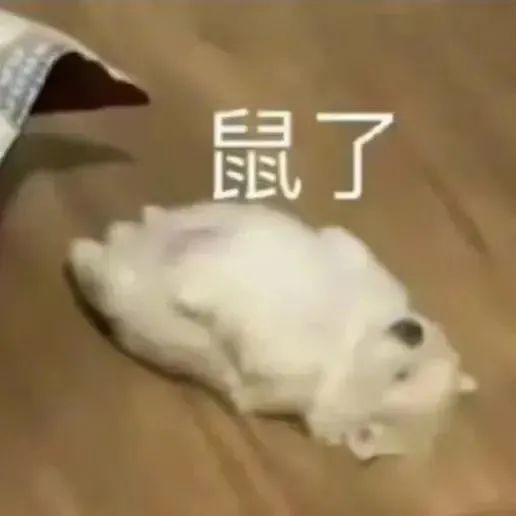 剑法武学搭配截图