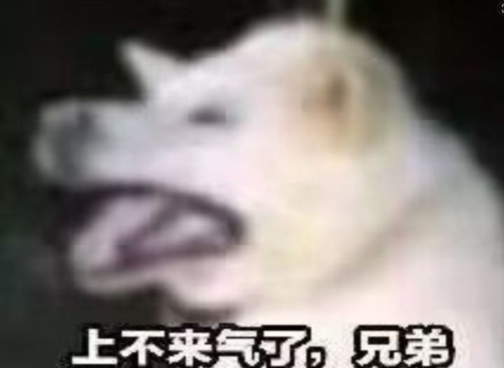 这游戏活不长啊截图