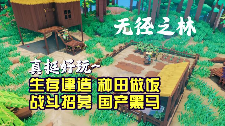 多人联机生存建造!国产黑马【无径之林】来了!截图