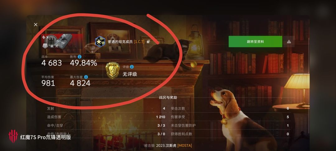 动态图片 11