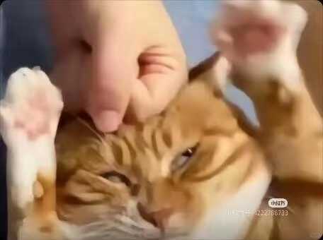 这种情况有办法申诉嘛 2