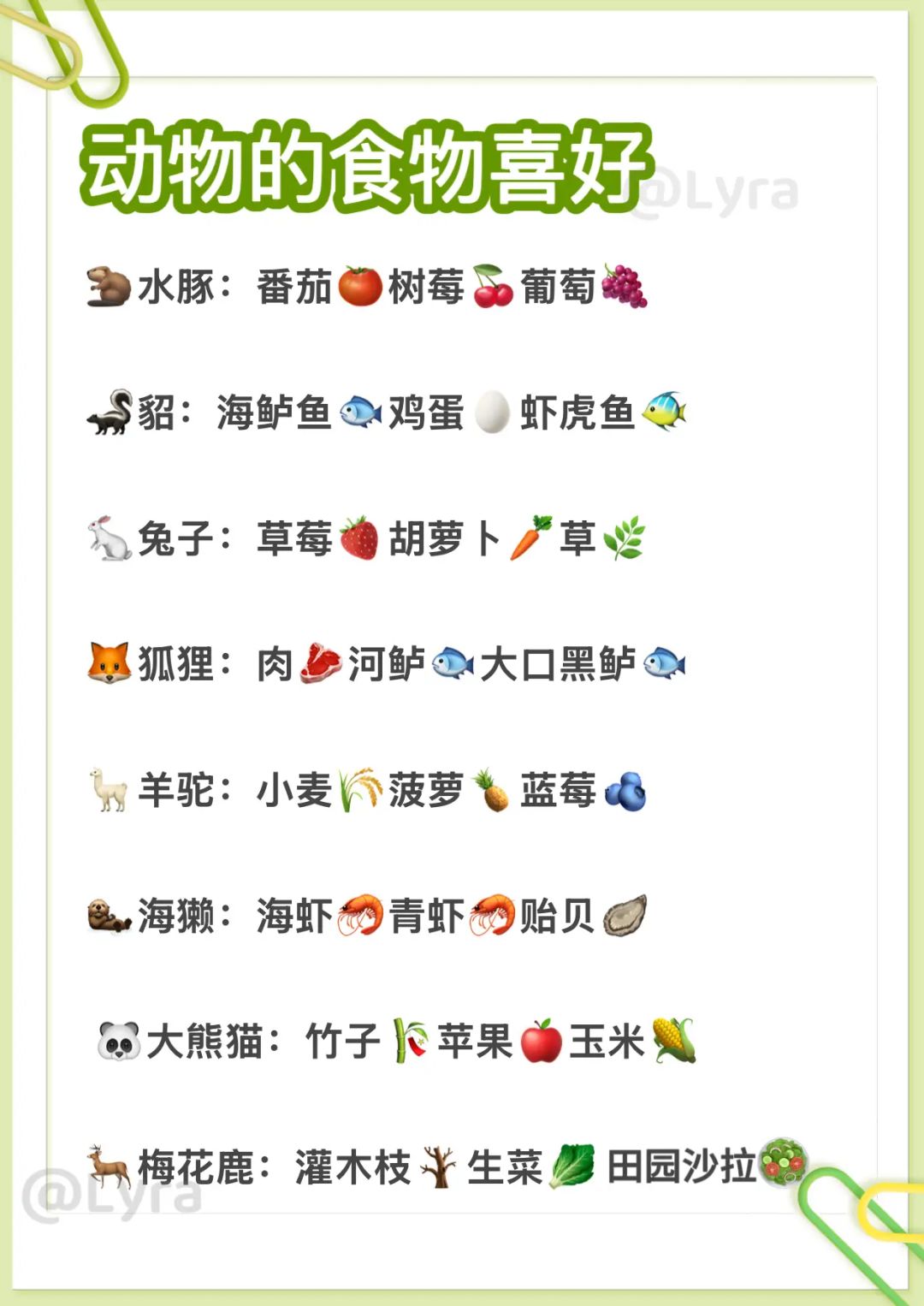 动物投喂攻略 3