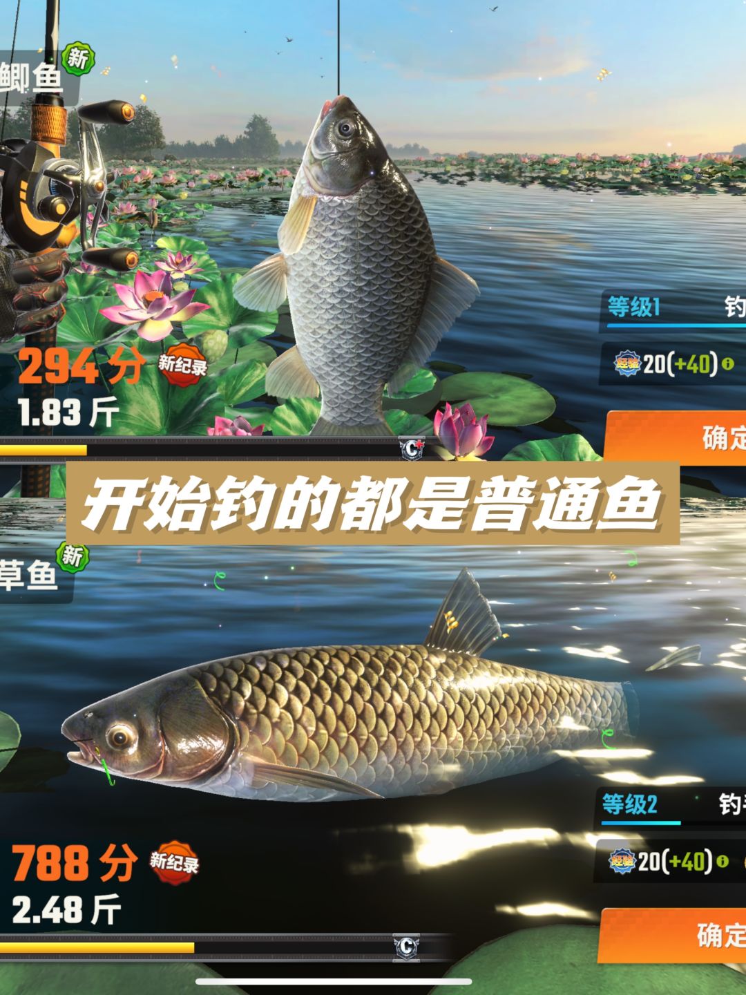 钓鱼新手攻略‼️快速上手钓大鱼🎣 2