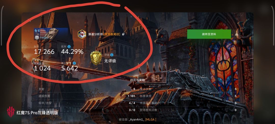 动态图片 10
