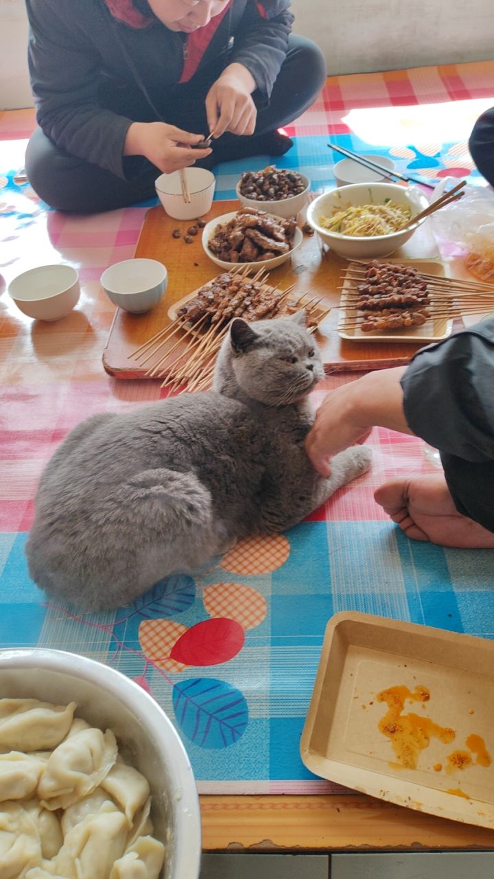 这是更新了个毛啊三四个小时就更新个抽奖截图
