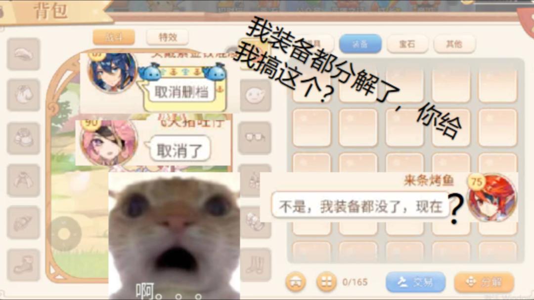video-4224884