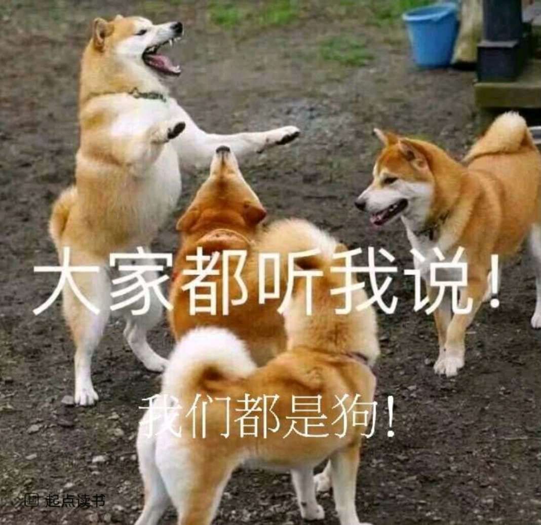 关于新人不要刷白鹰科技点的两三点看法截图