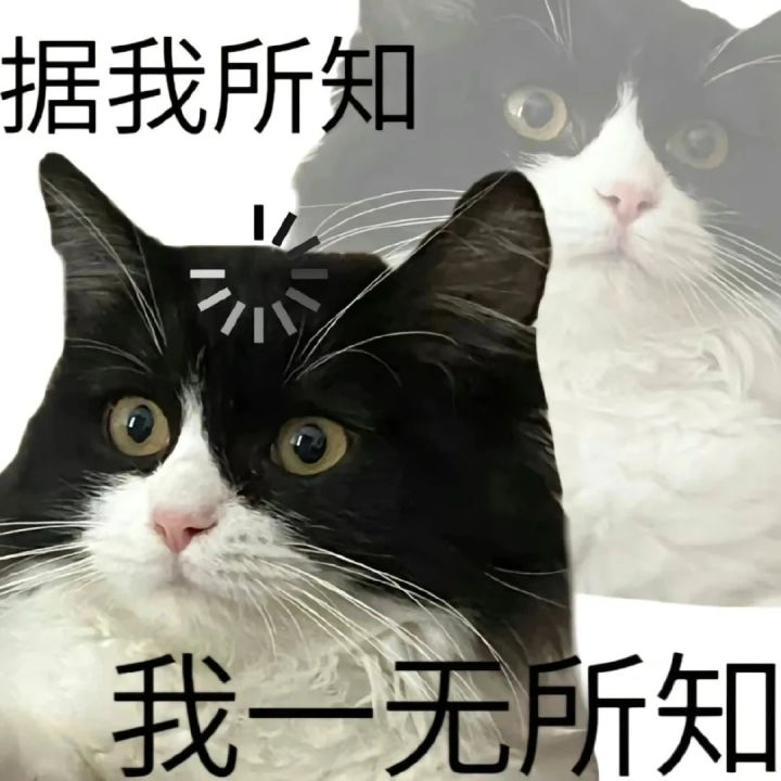 可以不喜欢,但别乱扣帽子截图