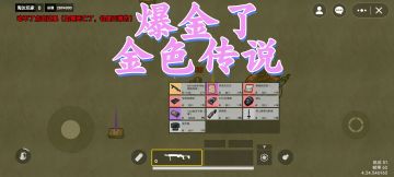 爆金了‼️七图辐射赚百万‼️太肥了‼️