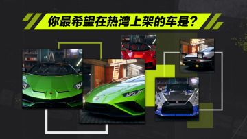 你最希望在热湾上架的车是？