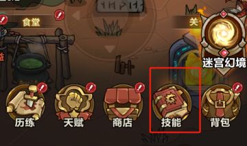 宠物及皮肤的穿戴