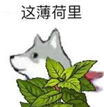 #真的麻了 1