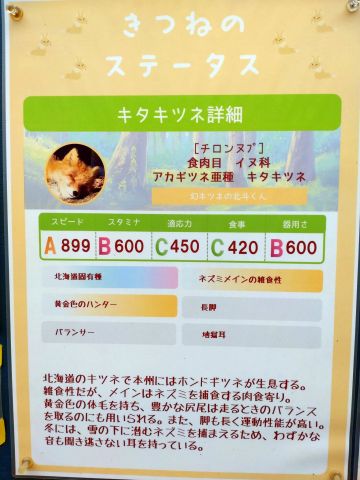 日本动物园引入《赛马娘》游戏元素，很有趣