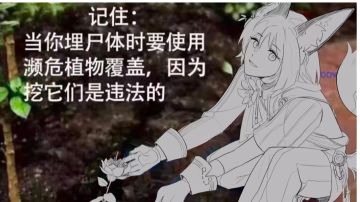 【攻略】r3升r4过渡期的几个注意事项