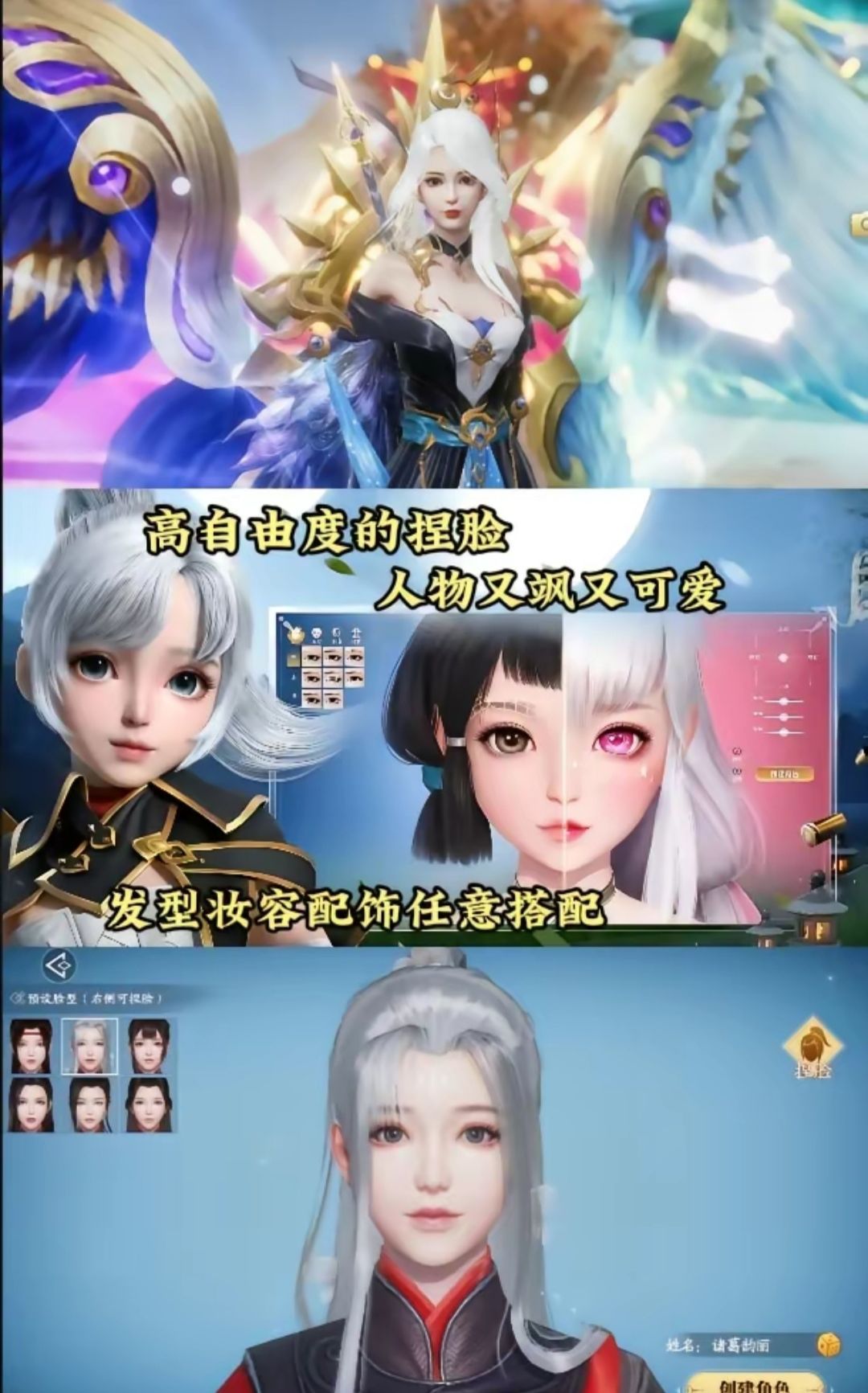 动态图片 1