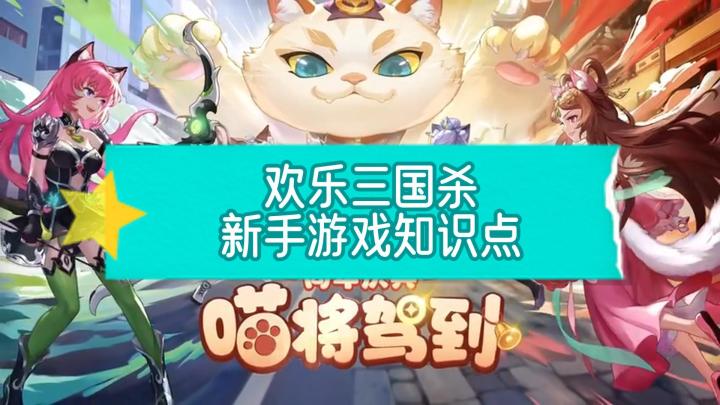 为新手玩家介绍《欢乐三国杀》的一些对局知识点截图