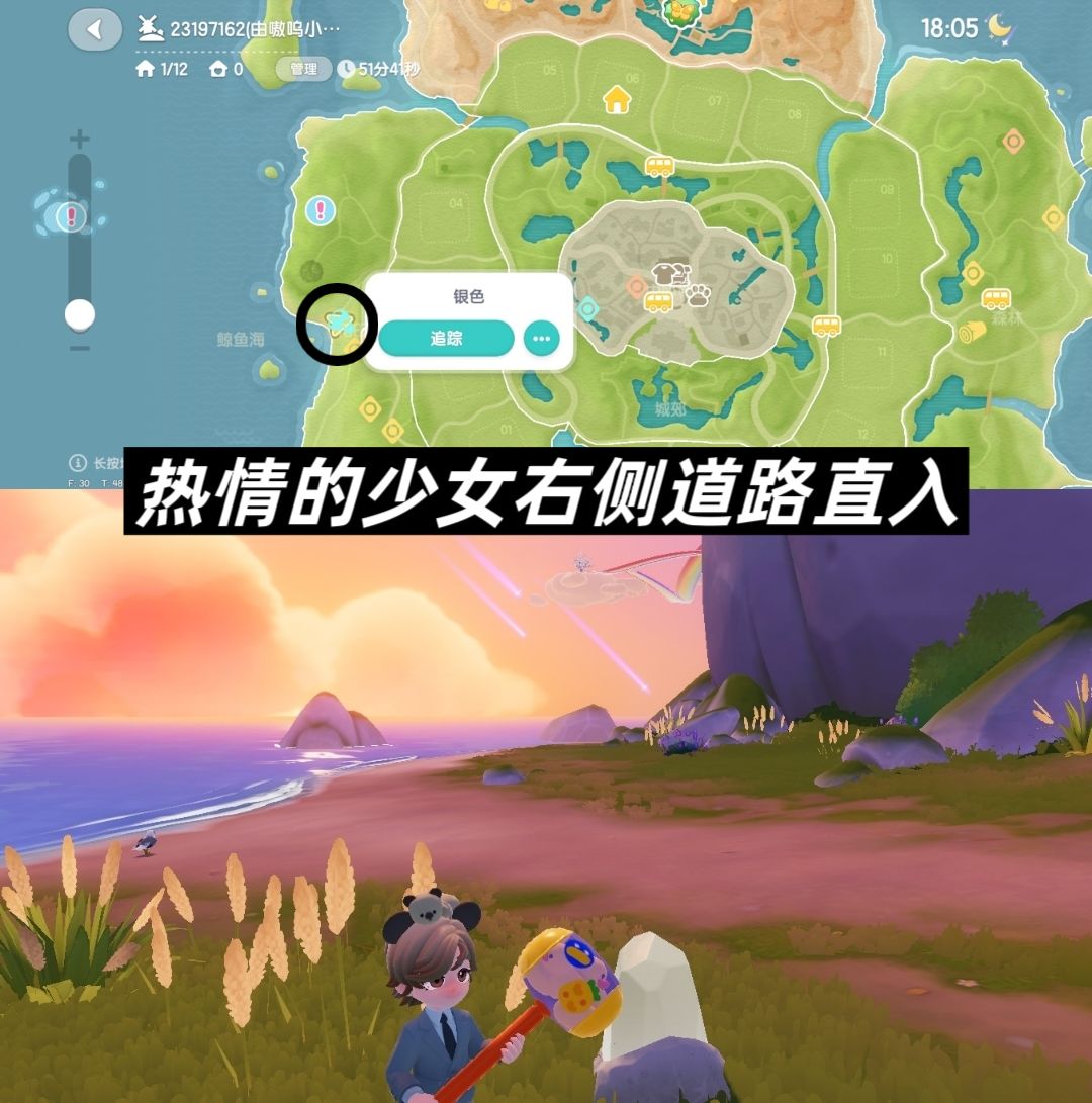 8.16流星雨花田月下朵朵 3