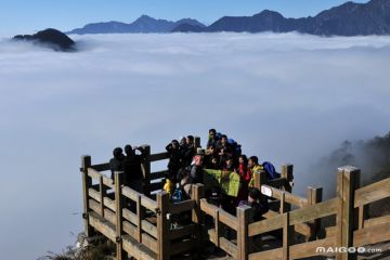 S647 宇语鱼
西岭雪山景区从游客中心到鸳鸯池广场的步行道是对大众免费开放的，情侣们可以选择徒步登山，可从游客中心出发经“诗忆小径之遇竹”路线到达鸳鸯池广场；从鸳鸯池广场经“诗忆小径之画境”路线到达廊桥广场；再从廊桥广场经“诗忆小径之杜鹃”路线前往映雪广场。途中不仅可以呼吸到清新的空气，还可以欣赏到数不尽的奇花异草。途经充满了神话色彩的鸳鸯池，去见证美丽浪漫的爱情神话。到了映雪广场后情侣们可以观