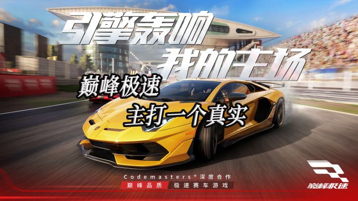 真实赛车,真实体验截图