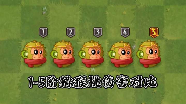 植物大战僵尸2：1-5阶猕猴桃伤害测试，哪一阶能干掉各世界巨人？截图