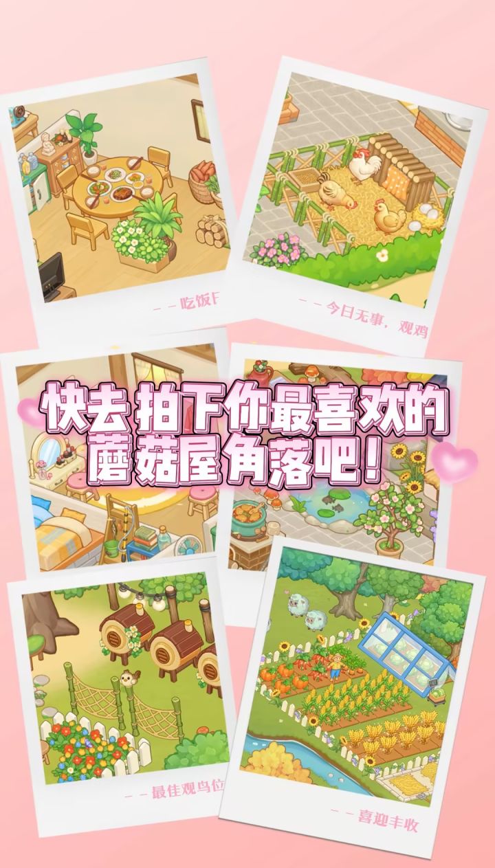 蘑菇屋出片如呼吸般简单截图