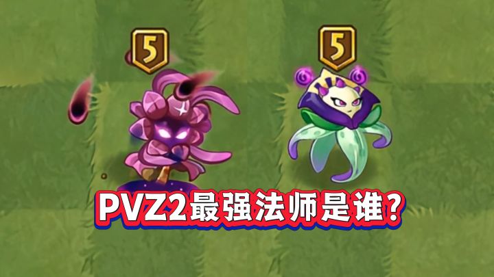 同样能秒杀10阶僵尸!PVZ2两大法师谁更强?截图