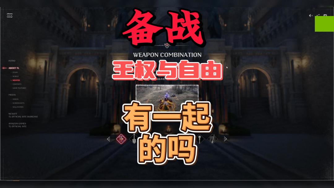 video-3772972