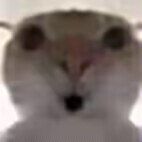 牢玩家们猜一下这个绑定工具是什么东西 2