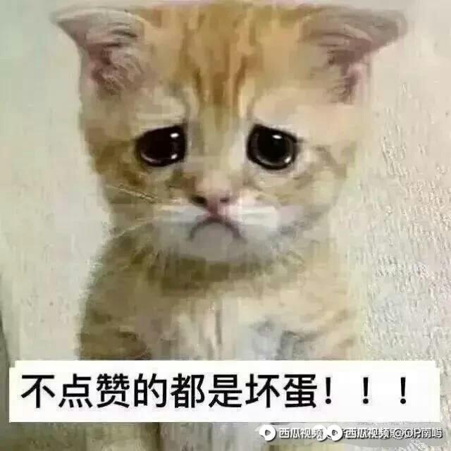 动态图片 9